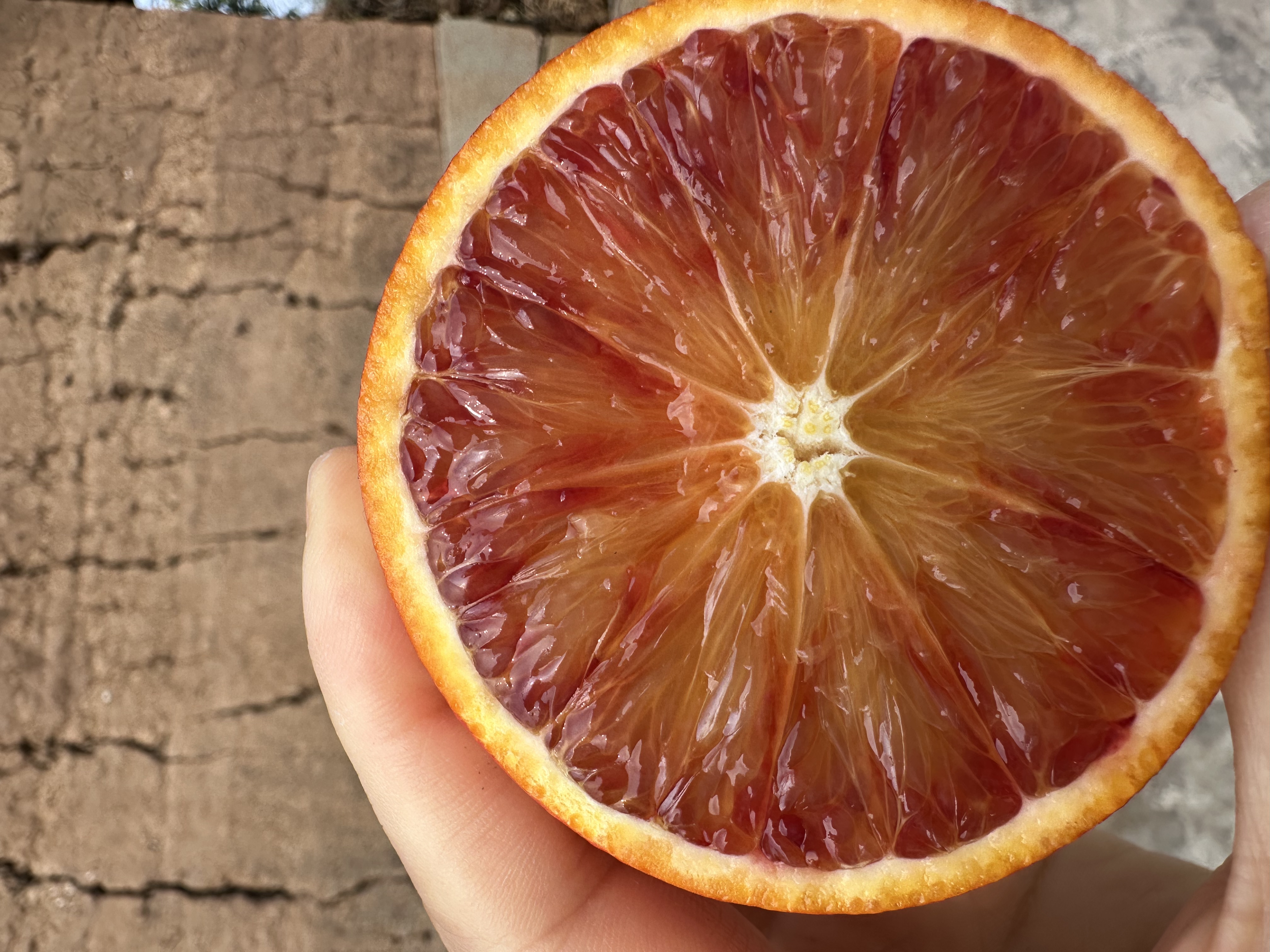 成熟的血橙被切开,露出深红色的果肉;旁边放置实验室用冷压萃取设备,透明容器中盛有淡黄色液体——血橙油,背景为西西里火山地貌 血橙果实剖面与精油提取装置示意图