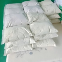 苦荞面粉.面