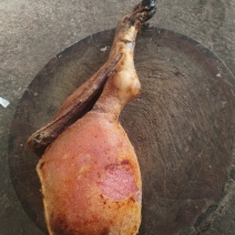 腊肉