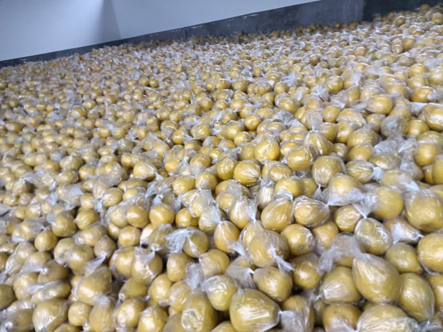 沙田柚储存与食用场景图