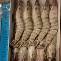 【实力推荐】黑虎虾，货源充足可全国发货，品质保证