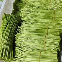 1月26号现货