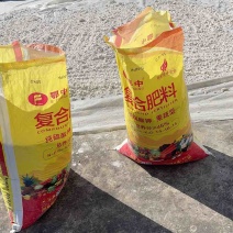 红薯粉2000斤往上
