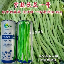 宇航长龙一号泰国无筋架豆王种子四季豆种子菜豆种子肉豆角