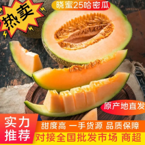 [牛]【优质】海南晓密25，，大量上市口感好糖度高