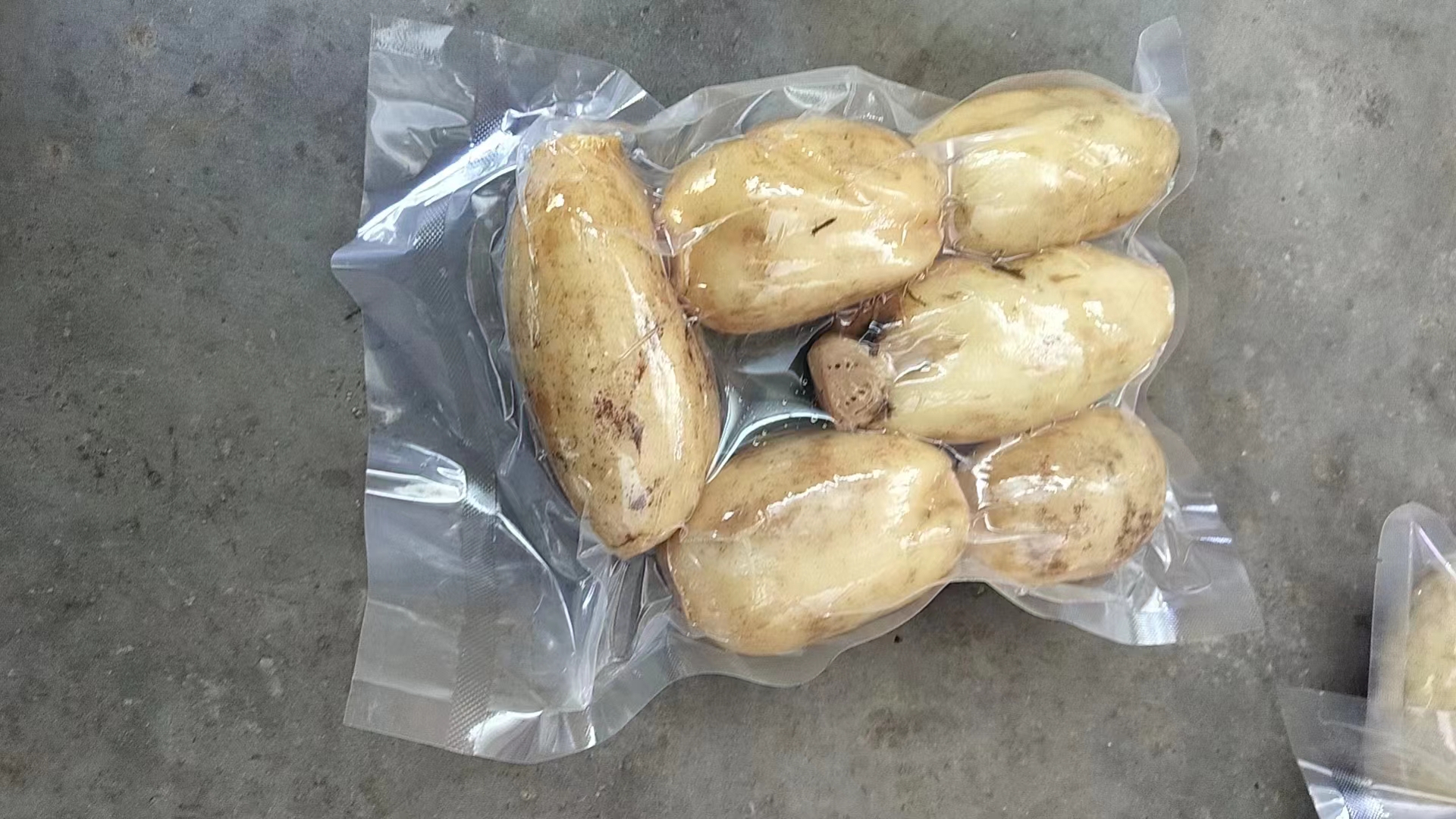 白莲藕真伪鉴别对比图：左侧为正宗白莲藕横切面特写，显示细密均匀气腔（直径<2mm）与致密不透光乳白肉质；右侧为普通粉藕横切面，气腔粗大（>4mm）、肉质半透明、色泽偏黄