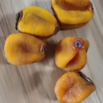 广西柿饼