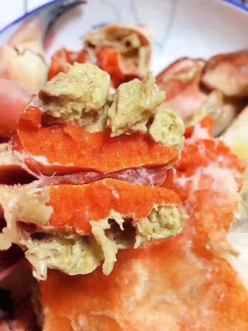 面包蟹满黄满膏新鲜熟冻大个面包蟹整只超大