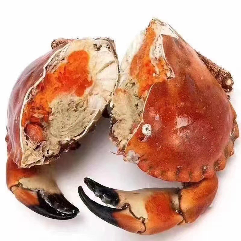 面包蟹满黄满膏新鲜熟冻大个面包蟹整只超大
