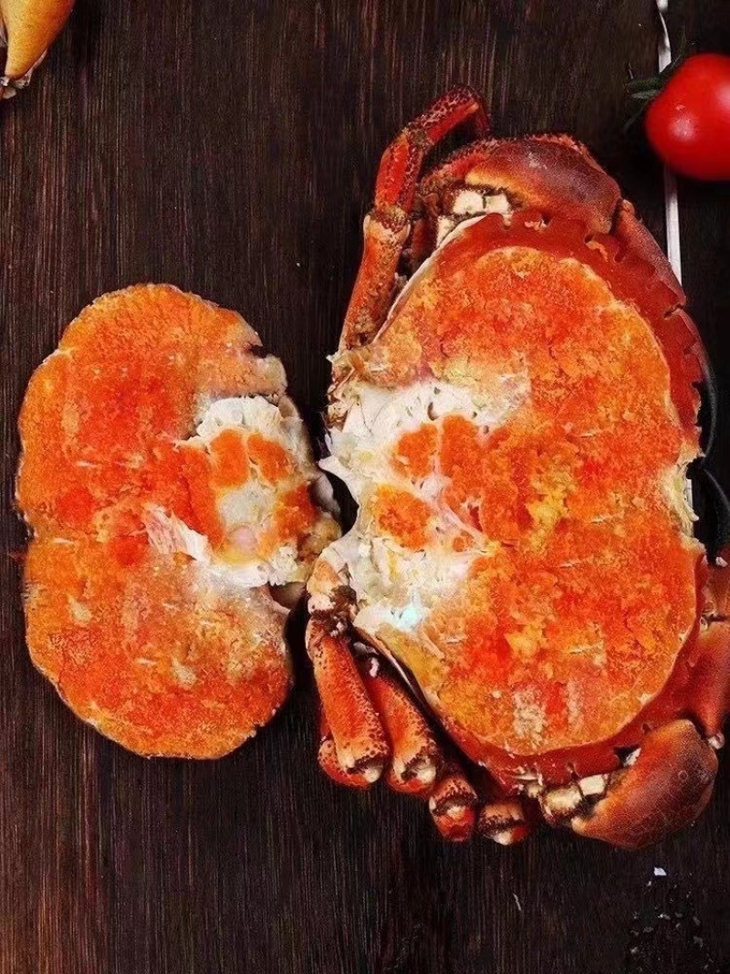 面包蟹满黄满膏新鲜熟冻大个面包蟹整只超大