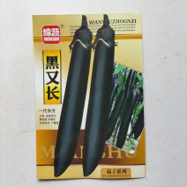 黑又长茄子种子