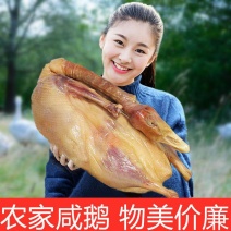 溧阳咸鹅天目湖特产腌鹅农家腊鹅风干鹅腊肉安徽咸鹅肉腊鹅