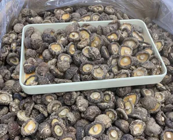 干鲜香菇体积与营养密度直观对比:突出脱水导致的成分浓缩效应,警示‘量变引发质变’的健康逻辑 干香菇与鲜香菇对比图:左侧为深褐紧实干品,右侧为浅褐柔软鲜品,中间用标尺标注同等体积下干品仅占鲜品约1/8体积,下方附营养成分对比箭头图