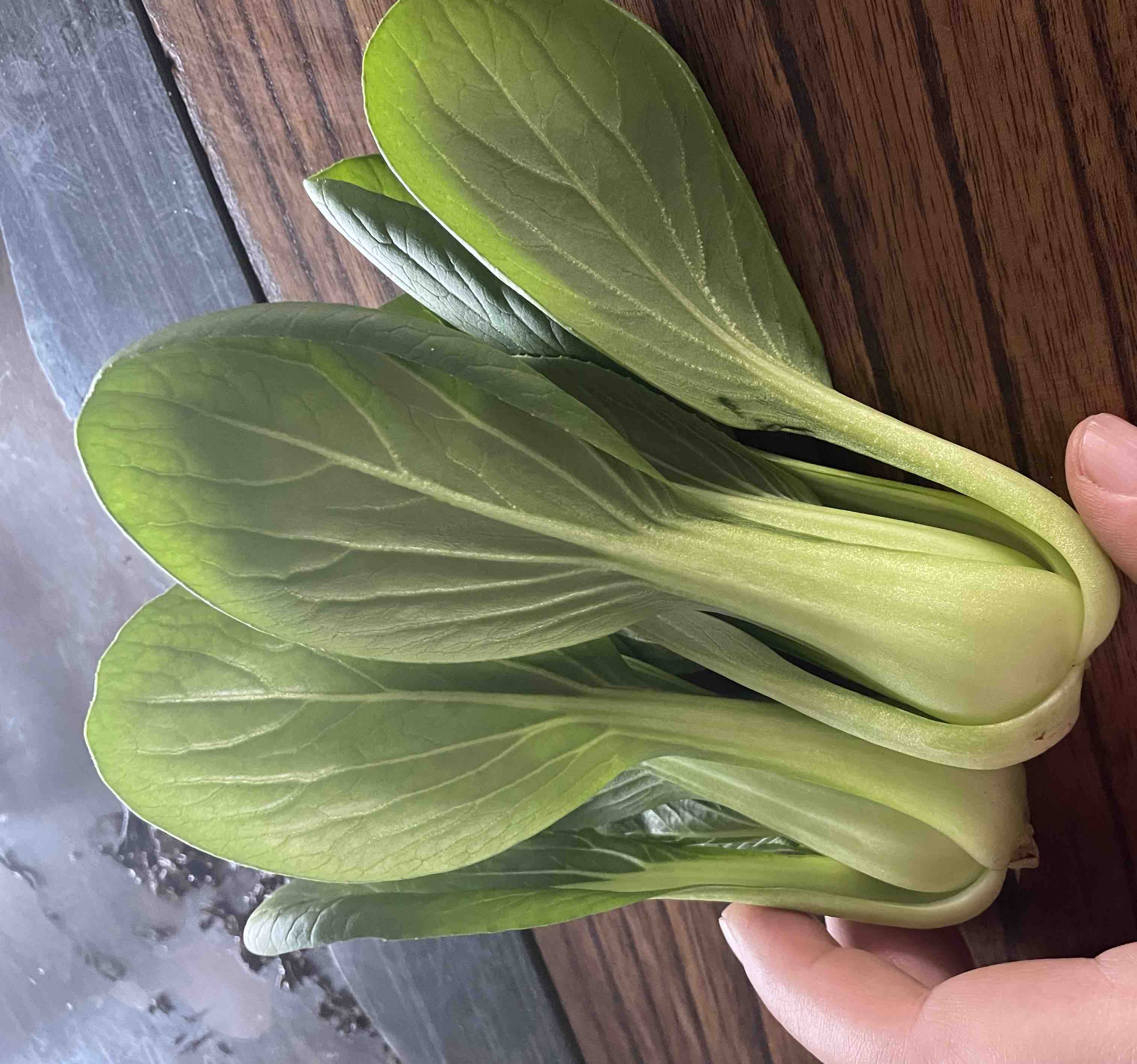 油菜与油麦菜实物对比图