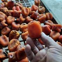 桂林平乐县柿子饼