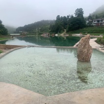 优质地下水鲫鱼