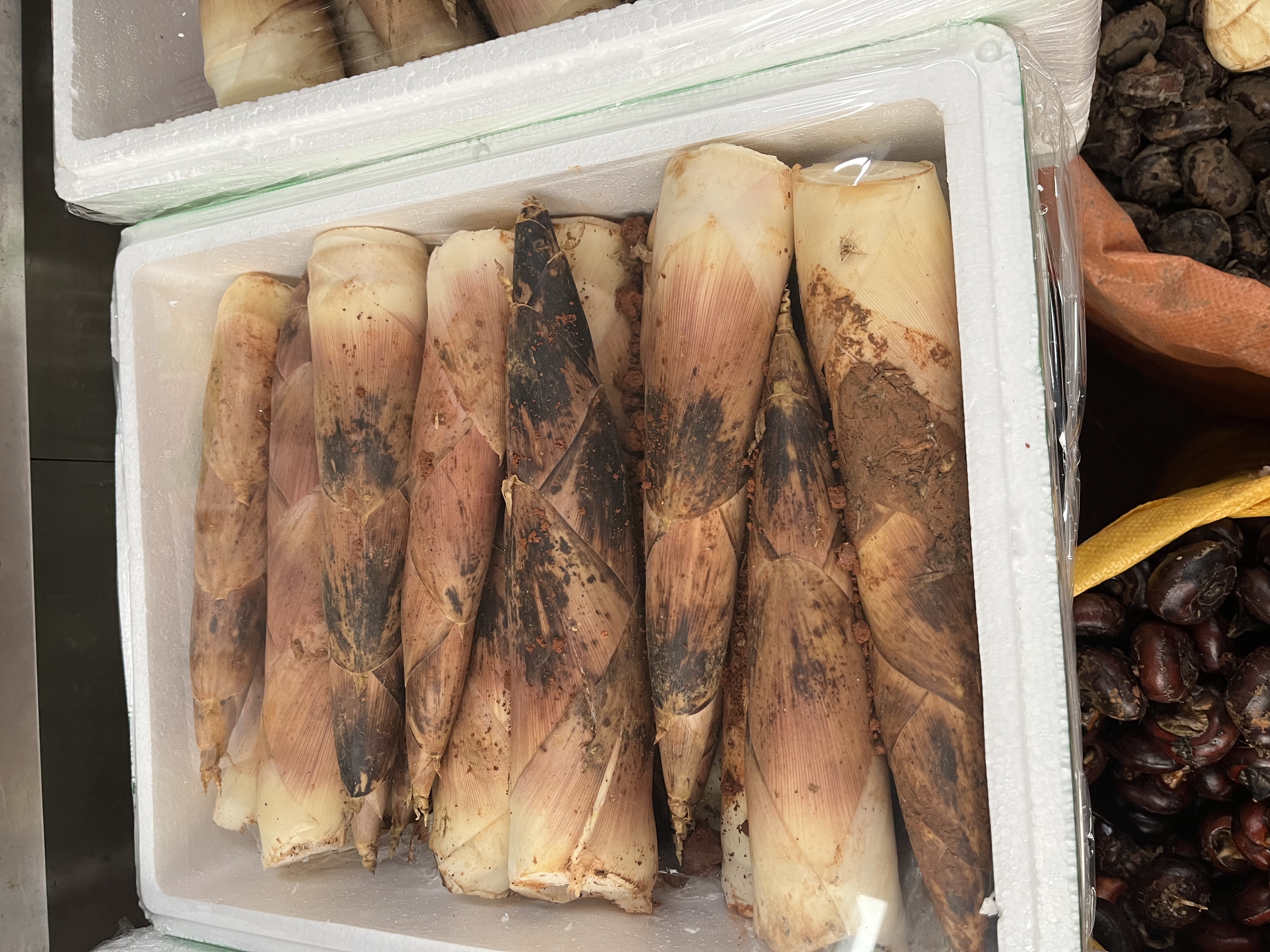 一个现代化的农产品加工车间内,工人正在对新鲜雷竹笋进行分级筛选,旁边有印着“临安雷笋 地理标志产品”字样的纸箱,冷库里堆放着贴有二维码追溯标签的成品箱,一辆冷链货车正在装车,准备发往杭州和上海市场 雷竹笋产地包装与冷链运输现场