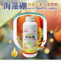 海藻硼：花多花壮、提高坐果、预防落果！
