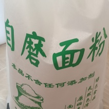 甘肃省白银市景泰县正路红岘村！禾尚头小麦及面粉！！！！