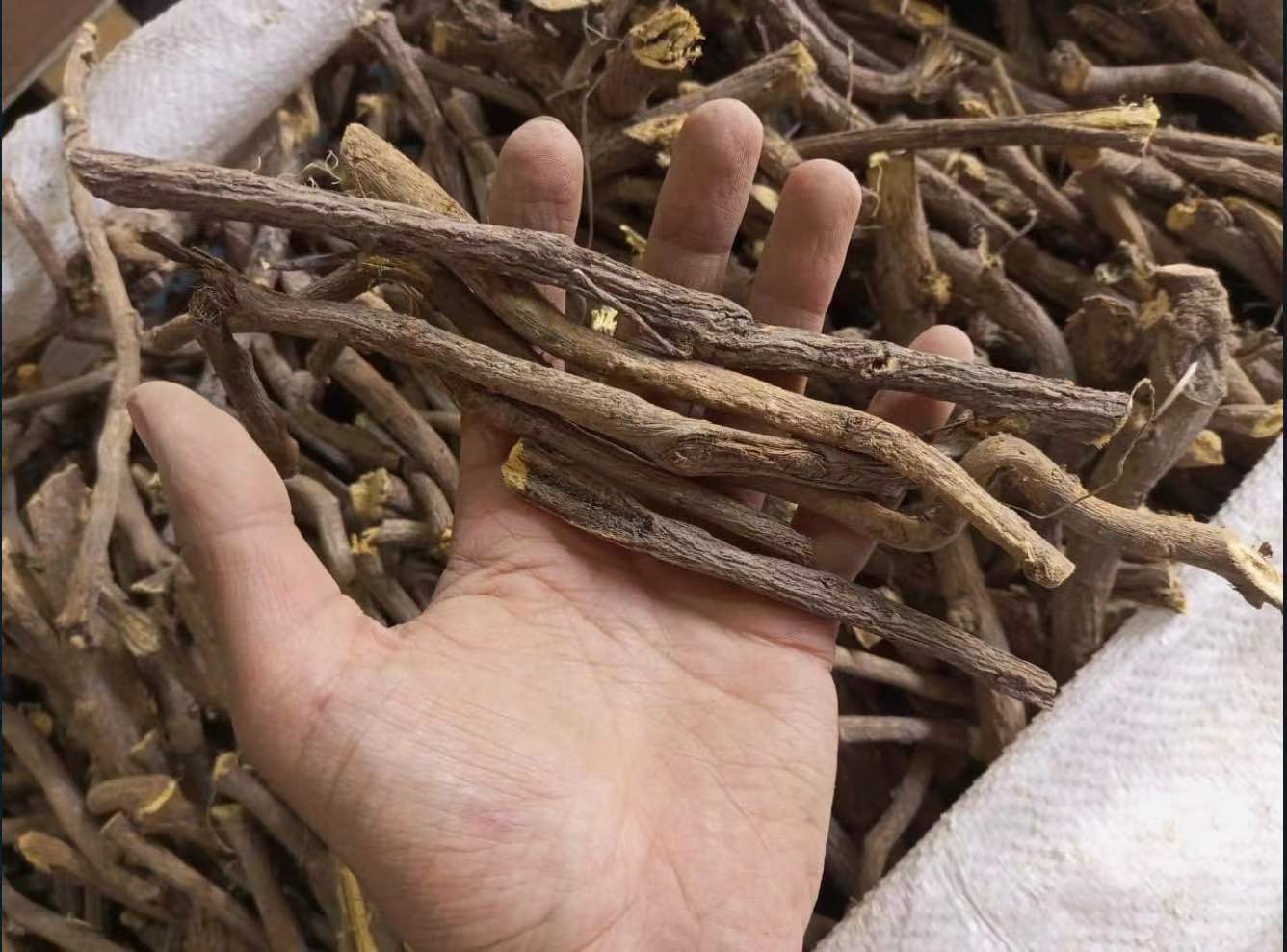 图片说明:电商平台上的鱼腥草根商品详情页截图,展示产品包装、参数和用户评价 选购鱼腥草根的线上平台展示图