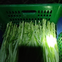 卖空心菜