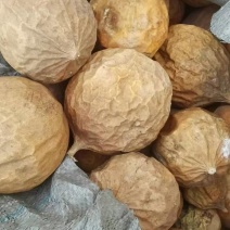 瓜蒌个，蒌丝