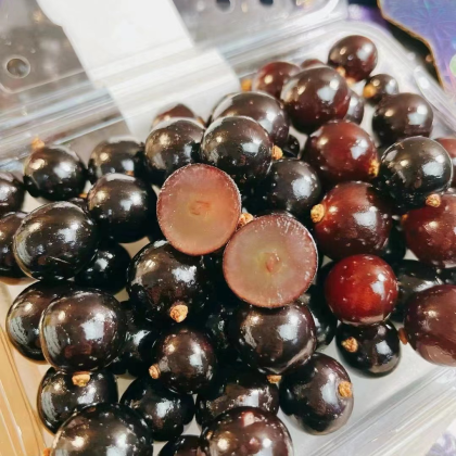 嘉宝果价格行情