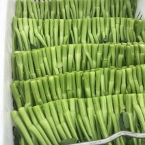 广东梅州兴宁市菜苔
