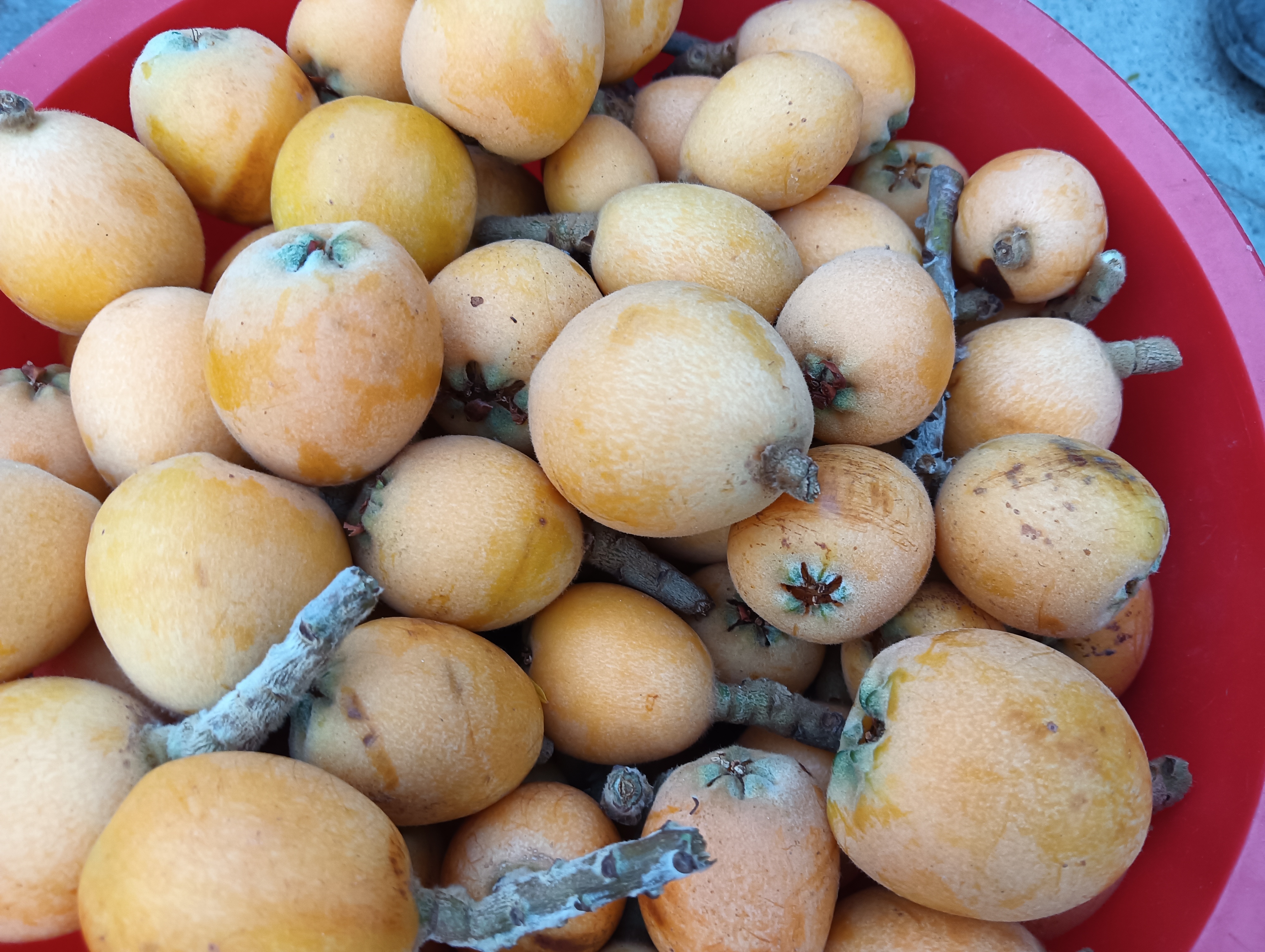 枇杷果酱制作过程