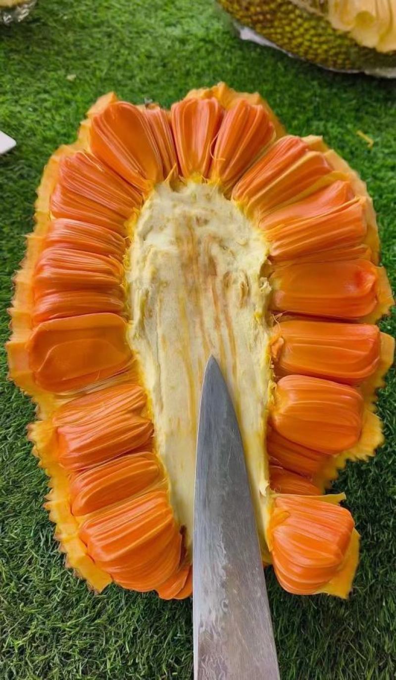 印尼红肉菠萝蜜干包菠萝蜜产地货源直发对接市场商超团购