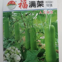 油亮型短棒瓠瓜种子福满架早熟顺直品质优良