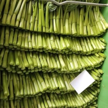成都精品菜心