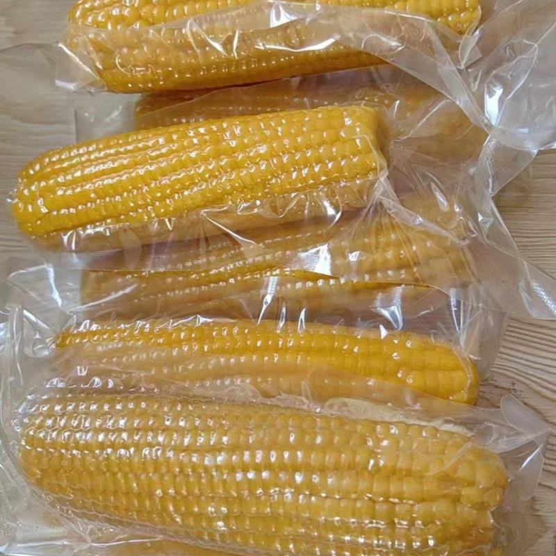 河南新乡水果玉米,真空包装大批量供应,香甜可口