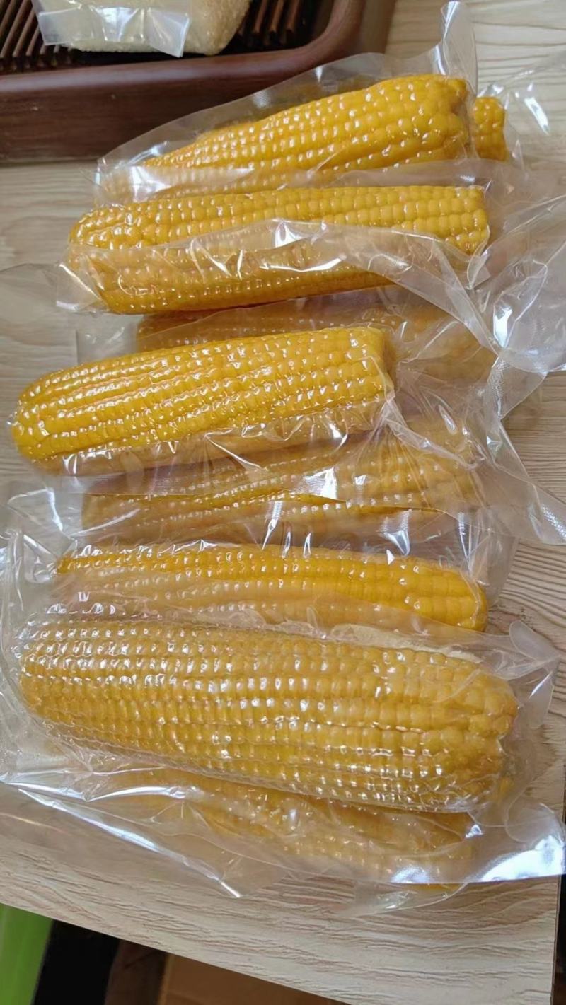 河南新乡水果玉米,真空包装大批量供应,香甜可口