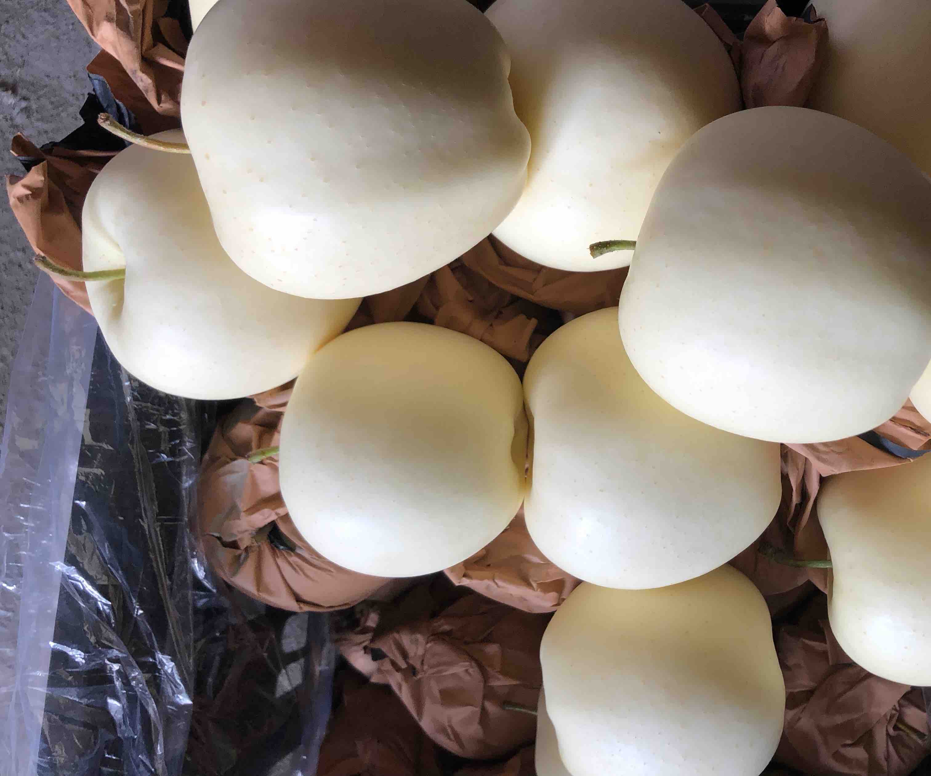 三门峡苹果分拣包装车间实景