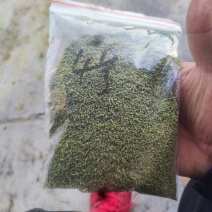 孜然碎孜然粉孜然半粒孜然孜然半碎辅料