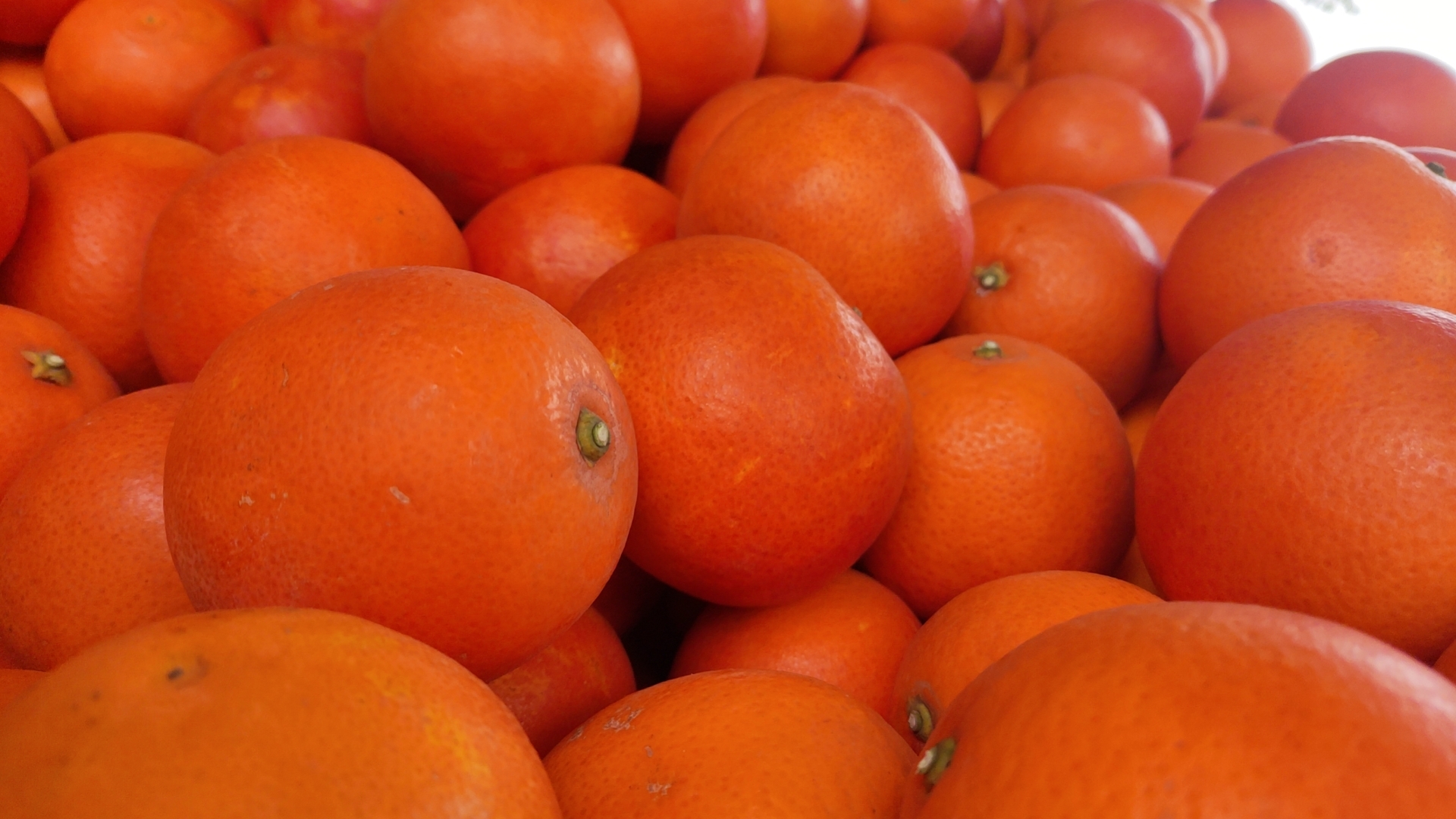 血橙沉淀的特写，展示其浓郁的红色沉淀物与果肉残留