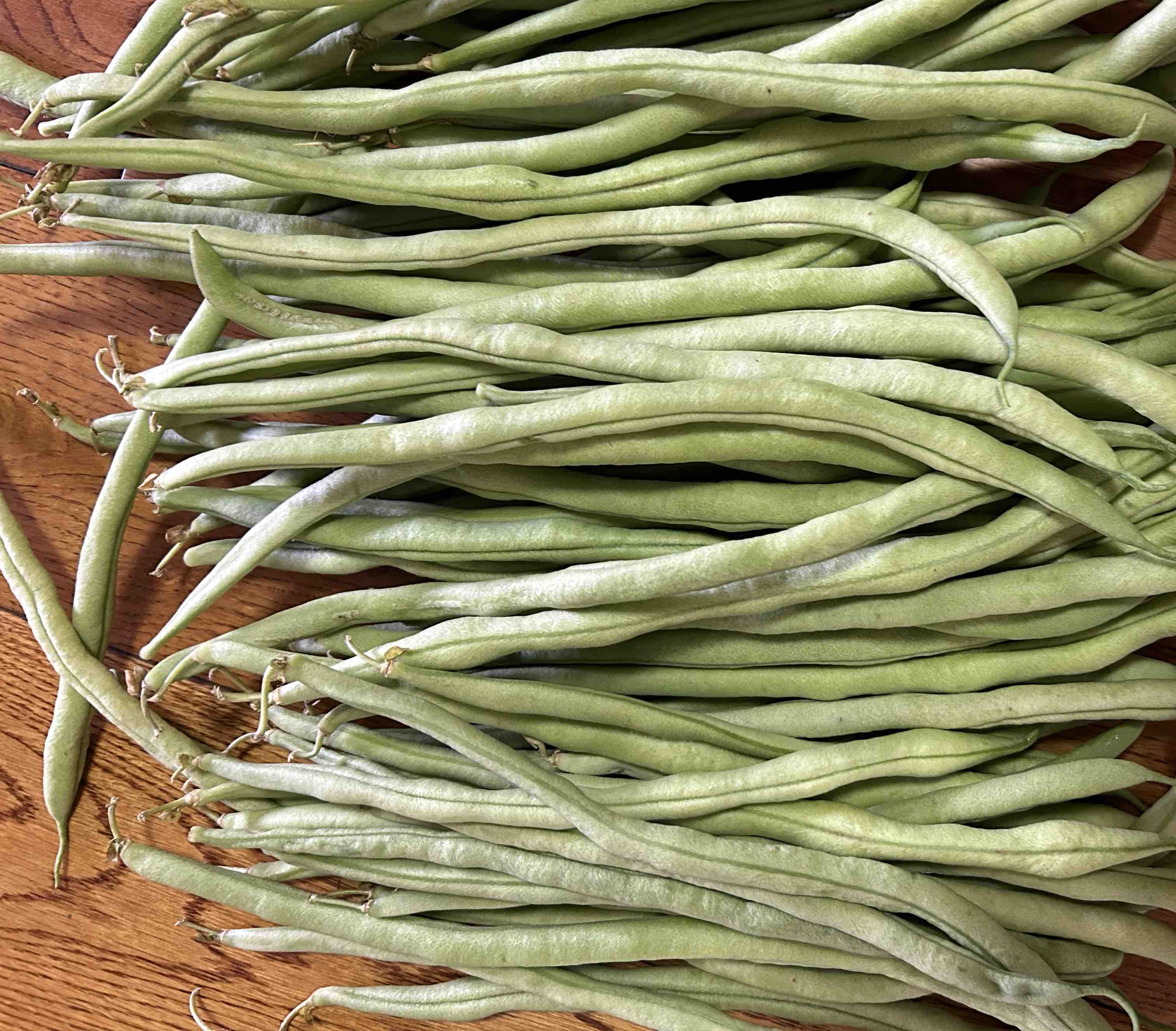 炒熟的无筋豆成品图