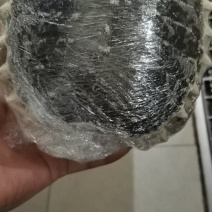 晒干甲鱼壳