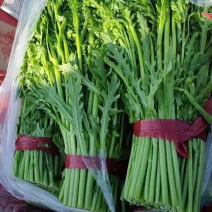 【基地发货】茼蒿，江苏淮安茼蒿，全国发货，对接市场电商
