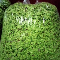 特菜野菜