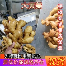 大黄姜常年供应销售，品质好，价格便宜，欢迎来电咨询