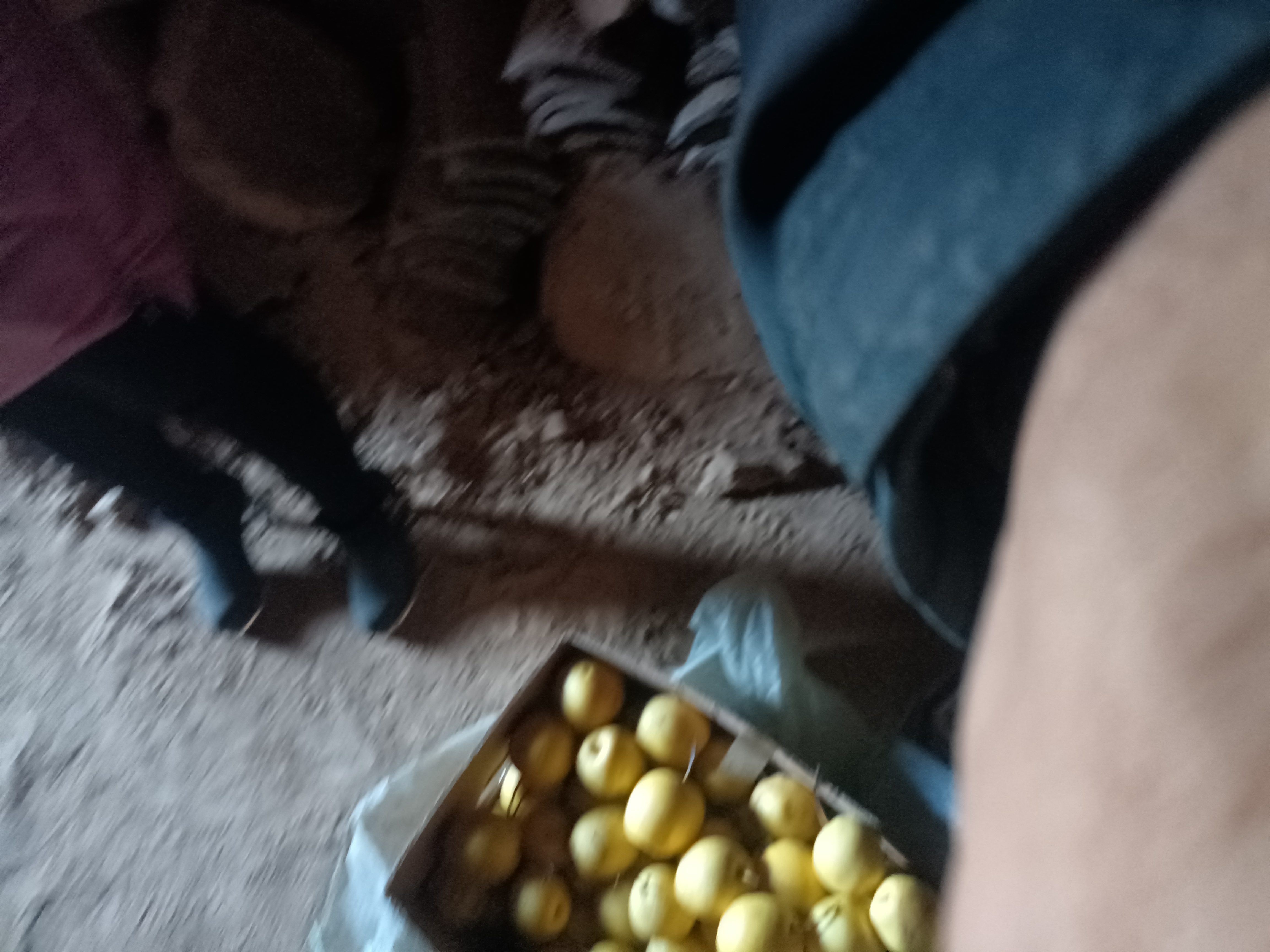 一位老年妇女坐在炕上,手中拿着一个刚从冰桶中取出的冻酸梨子,正在用手剥去表面深褐色至近黑色的果皮,露出内部软化的浅黄色果肉,桌上放着几个已完成去皮的冻梨,室内环境体现东北传统民居风格 家庭中老人正在剥开黑色外皮的冻酸梨子