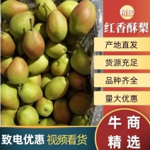 精品红香酥梨产地直发品质保证对接各类客户，大量供应