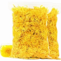 金丝皇菊