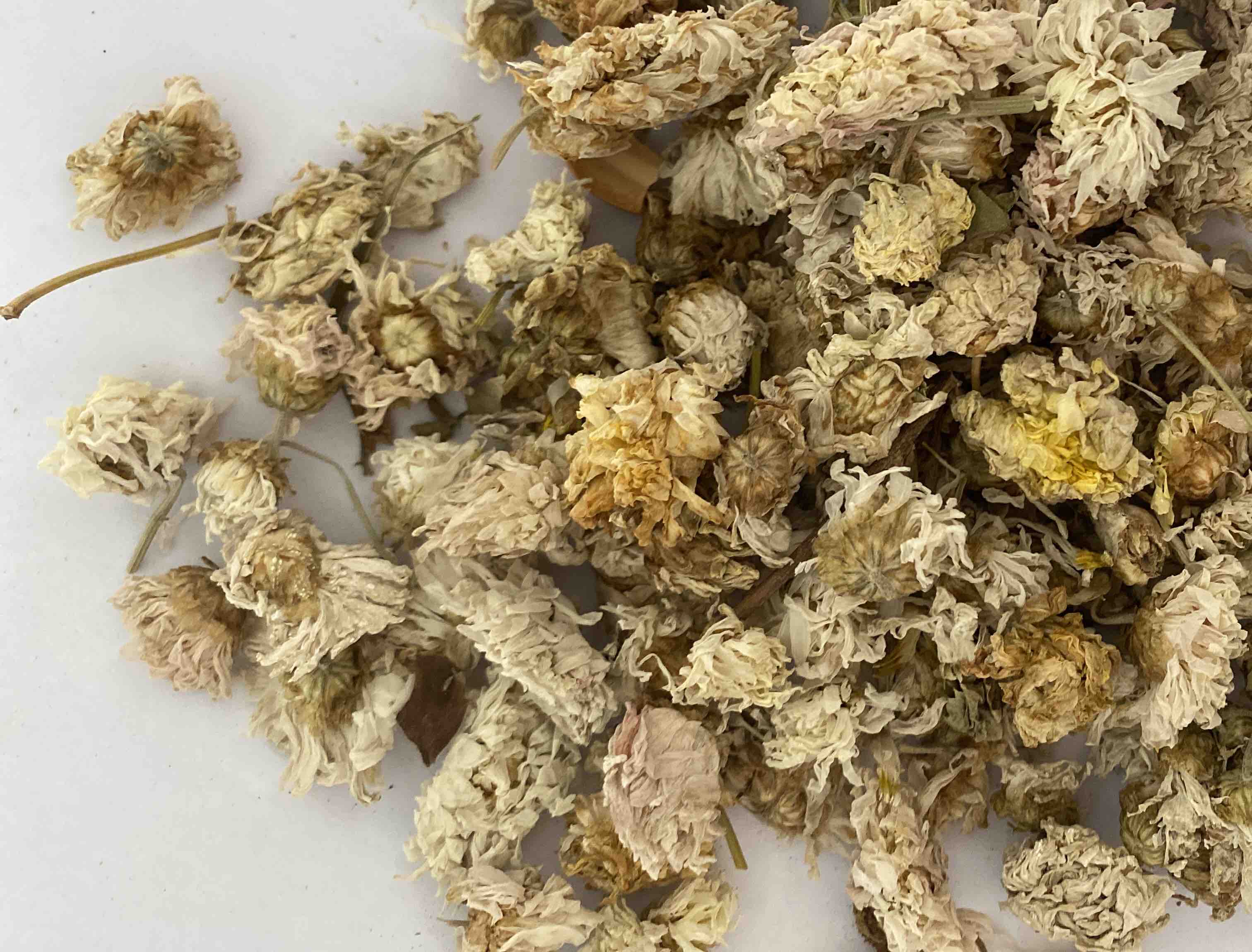 雏菊花朵与茶叶的组合