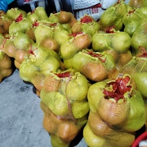 柚子红心菊花芯