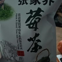 张家界莓茶