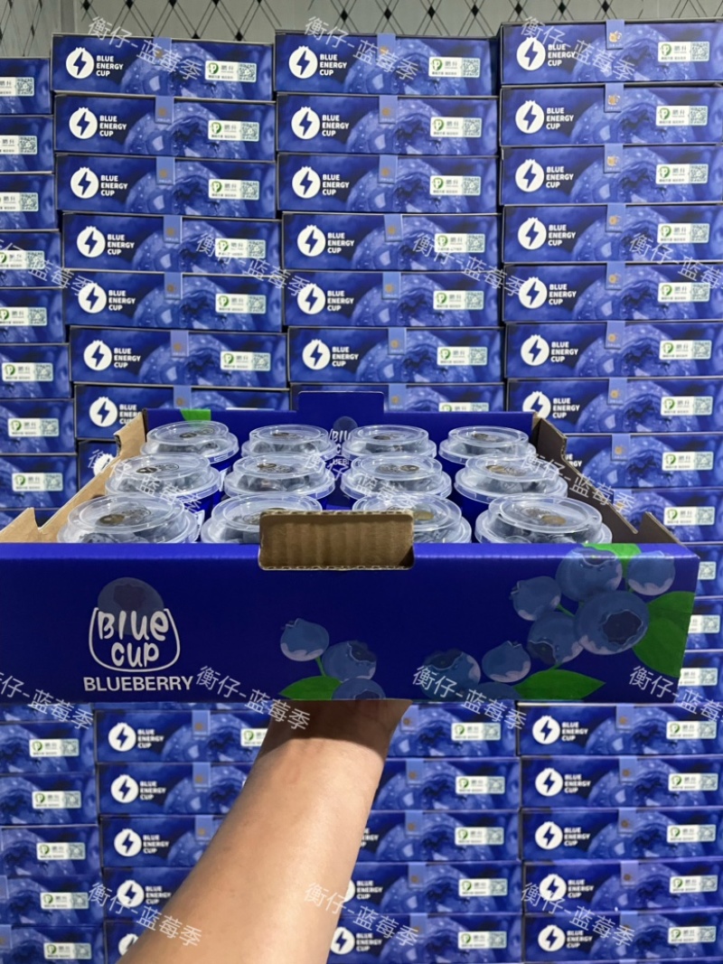 云南蓝莓长年批发蓝莓新鲜散果盒装礼盒装