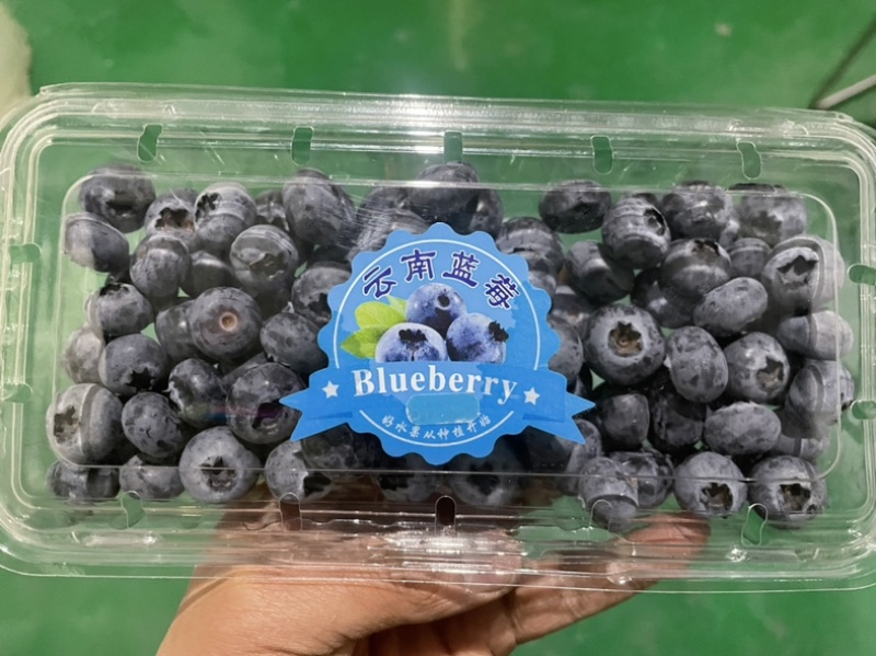 云南蓝莓长年批发蓝莓新鲜散果盒装礼盒装